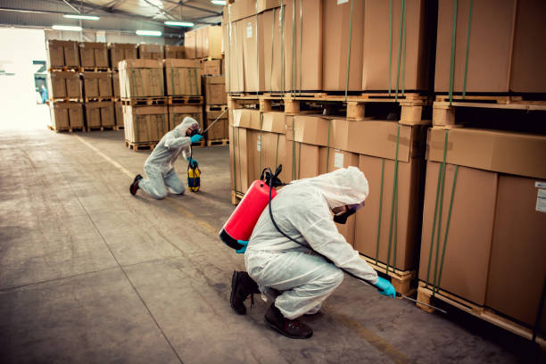 Best Pest Control Near Me in Spotswood, NJ