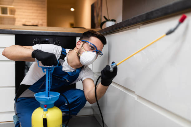 Best Emergency Pest Control  in Spotswood, NJ