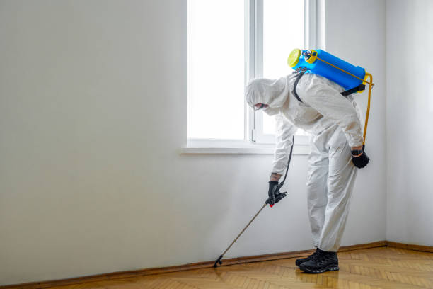 Best Wasp Removal Services  in Spotswood, NJ