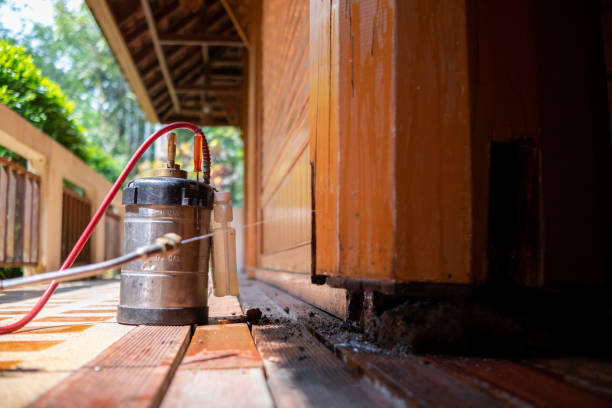Best Wasp Removal Services  in Spotswood, NJ