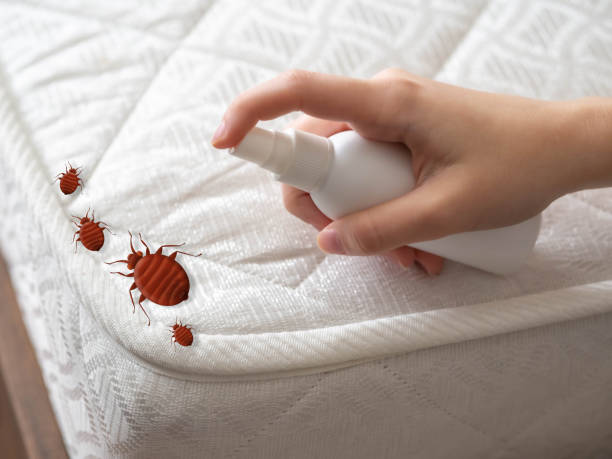 Best Pest Removal Services  in Spotswood, NJ