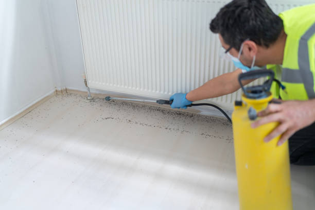 Best Pest Prevention Services  in Spotswood, NJ