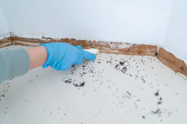 Best Pest Inspection Near Me  in Spotswood, NJ