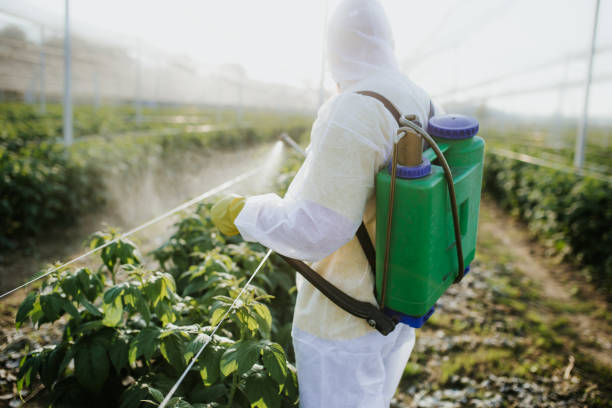 Best Local Pest Control Services  in Spotswood, NJ
